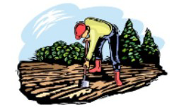Agricultor