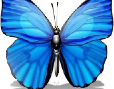 Fluturele