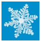 Iarna