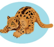 Leopardul