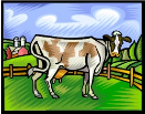 Vaca