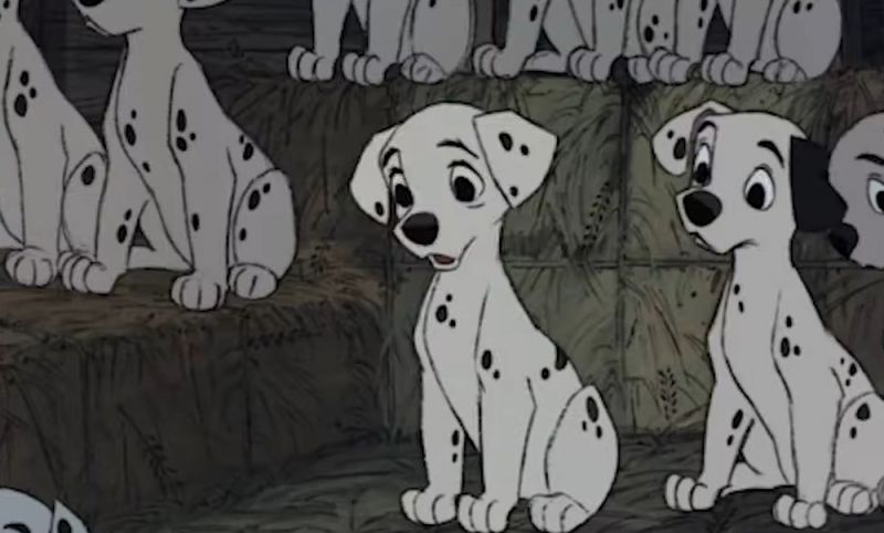 Cadru din filmul 101 dalmatieni cu mai multi catelusi dalmatieni asezati unul langa altul, fiecare cu petele lui de negru